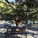 Typical Portuguese In Sao Bento * Lisboa