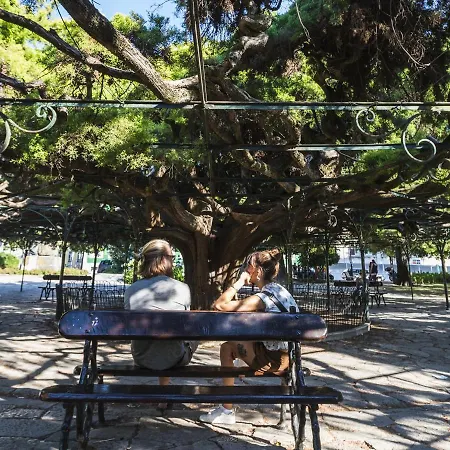 Typical Portuguese In Sao Bento * 리스본