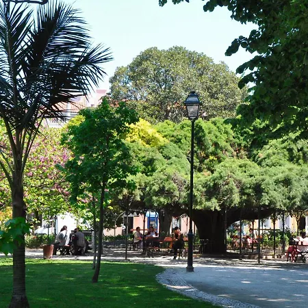 Typical Portuguese In Sao Bento